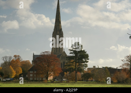 Blick auf die Kathedrale von Salisbury in den Auen Stockfoto