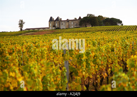 Ein Blick auf Chateau Yquem und seinen Weinberg in Sauternes. Bei der Ernte lässt sich Zeit mit Reben mit gelbe Herbstfärbung auf die sanften Hügel. Das mittelalterliche Schloss auf einem Hügel im Hintergrund. Château d ' Yquem, Sauternes, Bordeaux Gironde Aquitaine Frankreich Europa Stockfoto