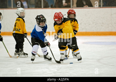 5 Jahre alten Jungen lernen, Eishockey spielen Stockfoto