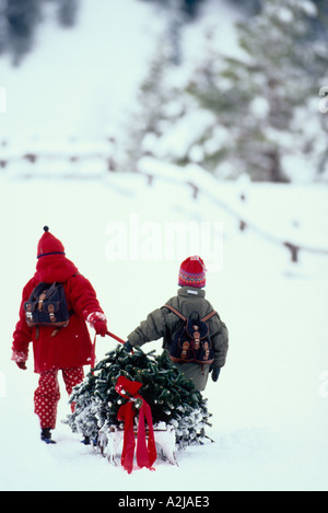 Ein Junge und ein Mädchen ziehen einen Weihnachtsbaum, dekoriert mit einem roten Band auf einem Schlitten, wie sie durch ein Feld Schneeschuh Stockfoto