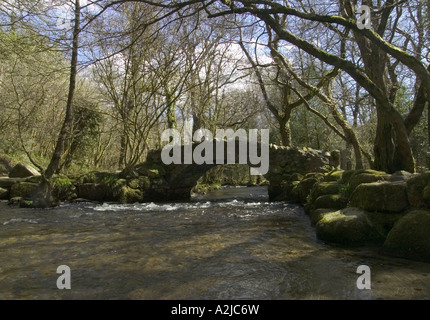 Eine Steinbrücke über den Fluss Bovey an einem Frühlingstag im Hisley Wood, in der Nähe von Lustleigh, Devon, UK. Stockfoto