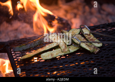 Squash über dem Feuer kochen, während eine Flussfahrt auf der Middle Fork des Salmon River, Idaho, USA Stockfoto