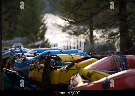 Flöße, Flussfahrt auf den Middle Fork des Salmon River, Idaho Stockfoto