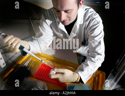 Labatory Techniker testet eine Flüssigkeit mit einer Spritze Stockfoto