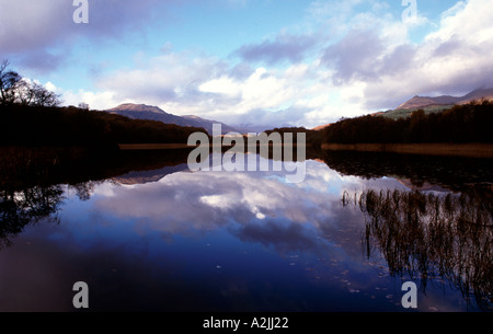 Die Landschaft am Dubh Lochan im Trossachs National Park sich in das Wasser perfekt wider. Stockfoto