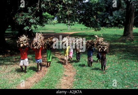 Kinder, die Holz in Uganda Stockfoto