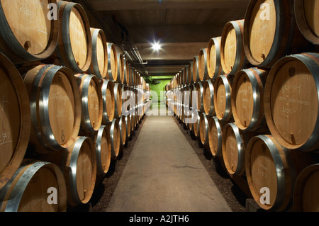 Alterung der moderne Barriquekeller mit Barrique-Stücke mit Reifen Wein, Maison Louis Jadot, Beaune Côte d ' Cote d oder Bourgogne Burgund Burgund Frankreich Französisch Europa Europäische Stockfoto