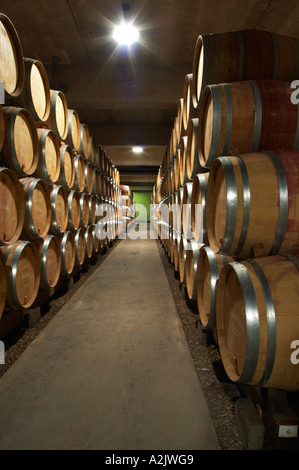 Alterung der moderne Barriquekeller mit Barrique-Stücke mit Reifen Wein, Maison Louis Jadot, Beaune Côte d ' Cote d oder Bourgogne Burgund Burgund Frankreich Französisch Europa Europäische Stockfoto