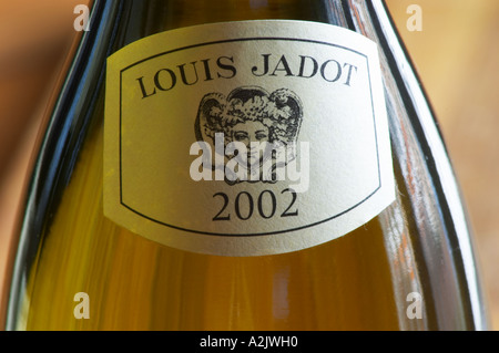 Closeup Nahaufnahme von einer Flasche Weisswein Label Maison Louis Jadot 2002 mit dem Baccus Bacchus-Symbol der Produzent, Maison Louis Jadot, Beaune Côte d ' Cote d oder Bourgogne Burgund Burgund Frankreich Französisch Europa Europäische Stockfoto