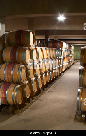 Alterung der moderne Barriquekeller mit Barrique-Stücke mit Reifen Wein, Maison Louis Jadot, Beaune Côte d ' Cote d oder Bourgogne Burgund Burgund Frankreich Französisch Europa Europäische Stockfoto