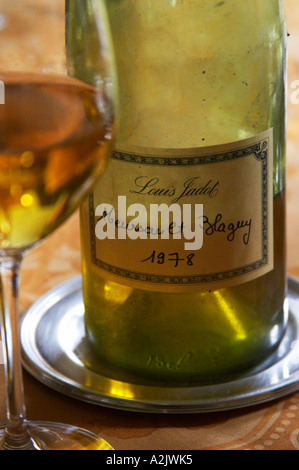 Ein halb leeren staubige alte Flasche mit einem handgeschriebenen Etikett Louis Jadot Meursault Blagny 1978 Weißburgunder und ein Glas Wein auf einem Esstisch, Maison Louis Jadot, Beaune Côte d ' Cote d oder Bourgogne Burgund Burgund Frankreich Französisch Europa Europäische Stockfoto