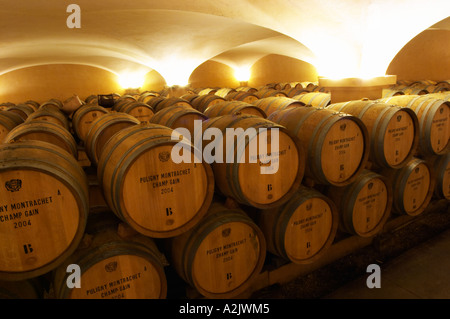 Der alte Stil Gewölbekeller Fass Altern mit Barrique-Stücke mit reifenden Wein, Maison Louis Jadot, Beaune Côte d ' Cote d oder Bourgogne Burgund Burgund Frankreich Französisch Europa Europäische Stockfoto