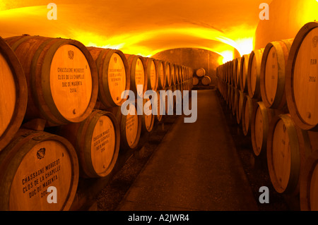 Der alte Stil Gewölbekeller Fass Altern mit Barrique-Stücke mit reifenden Wein, Maison Louis Jadot, Beaune Côte d ' Cote d oder Bourgogne Burgund Burgund Frankreich Französisch Europa Europäische Stockfoto