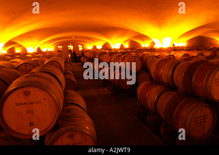 Der alte Stil Gewölbekeller Fass Altern mit Barrique-Stücke mit reifenden Wein, Maison Louis Jadot, Beaune Côte d ' Cote d oder Bourgogne Burgund Burgund Frankreich Französisch Europa Europäische Stockfoto