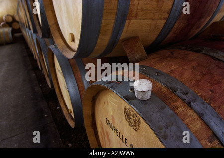 Eichenfässern mit dem Altern der Weine. Die weißen Stecker Markierung am Rand des Fasses weist darauf hin, dass eine Probe entnommen wurde Stockfoto