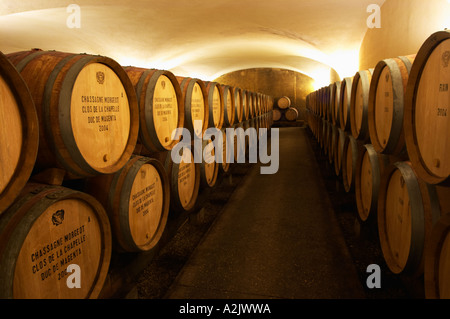 Der alte Stil Gewölbekeller Fass Altern mit Barrique-Stücke mit reifenden Wein, Maison Louis Jadot, Beaune Côte d ' Cote d oder Bourgogne Burgund Burgund Frankreich Französisch Europa Europäische Stockfoto