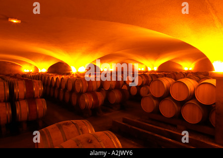 Der alte Stil Gewölbekeller Fass Altern mit Barrique-Stücke mit reifenden Wein, Maison Louis Jadot, Beaune Côte d ' Cote d oder Bourgogne Burgund Burgund Frankreich Französisch Europa Europäische Stockfoto