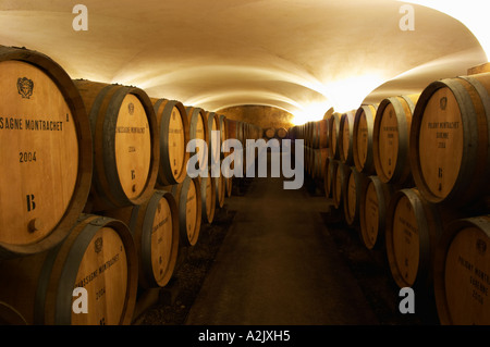 Der alte Stil Gewölbekeller Fass Altern mit Barrique-Stücke mit reifenden Wein, Maison Louis Jadot, Beaune Côte d ' Cote d oder Bourgogne Burgund Burgund Frankreich Französisch Europa Europäische Stockfoto