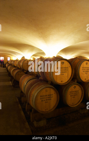 Der alte Stil Gewölbekeller Fass Altern mit Barrique-Stücke mit reifenden Wein, Maison Louis Jadot, Beaune Côte d ' Cote d oder Bourgogne Burgund Burgund Frankreich Französisch Europa Europäische Stockfoto