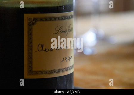 Eine halb leere staubige alte Flasche mit einen handgeschriebenen Etikett Louis Jadot Clos De La Roche 1979 Grand Cru Burgund rot Wein Hintergrundbeleuchtung Hintergrundbeleuchtung, Closeup auf einen Tisch, Maison Louis Jadot, Beaune Côte d ' Cote d oder Bourgogne Burgund Burgund Frankreich Französisch Europa Europäische Stockfoto