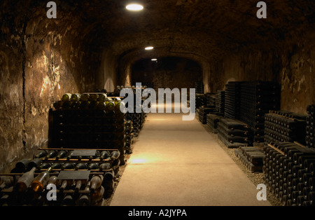 Im unterirdischen Weinkeller: haufenweise Tausende von Flaschen Burgund Wein auf einer steinigen Kiesböden gewölbten Gewölbedecke mit kontrastierenden Lichter, Maison Louis Jadot, Beaune Côte d ' Cote d oder Bourgogne Burgund Burgund Frankreich Französisch Europa Europäische Stockfoto