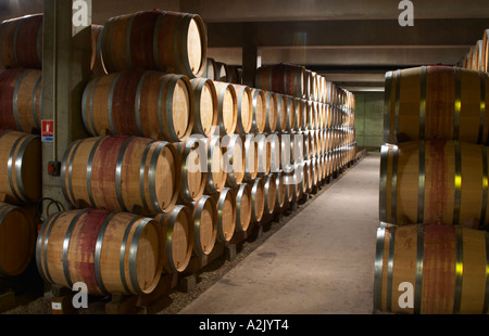 Alterung der moderne Barriquekeller mit Barrique-Stücke mit Reifen Wein, Maison Louis Jadot, Beaune Côte d ' Cote d oder Bourgogne Burgund Burgund Frankreich Französisch Europa Europäische Stockfoto