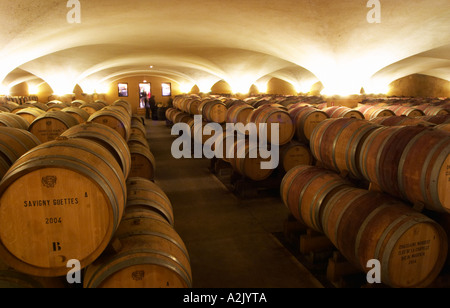 Der alte Stil Gewölbekeller Fass Altern mit Barrique-Stücke mit reifenden Wein, Maison Louis Jadot, Beaune Côte d ' Cote d oder Bourgogne Burgund Burgund Frankreich Französisch Europa Europäische Stockfoto