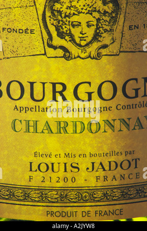 Closeup Nahaufnahme von einer Weinflasche Label Maison Louis Jadot Bourgogne Chardonnay Appellation Controlee Hintergrundbeleuchtung Hintergrundbeleuchtung Gegenlicht Licht weiß, Maison Louis Jadot, Beaune Côte d ' Cote d oder Bourgogne Burgund Burgund Frankreich Französisch Europa Europäische Stockfoto