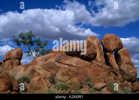 Australien, des Teufels Murmeln. Sphärische Sandstein Felsen und Ghost Gum Tree (Eukalyptus Papuana). Stockfoto