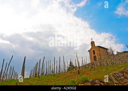 Die Eremitage-Kapelle auf dem Hügel... Die Eremitage Weinberge auf dem Hügel hinter der Stadt Tain-l ' Hermitage, am steil abfallenden Hügel, Stein terrassenförmig angelegt. Manchmal buchstabiert Ermitage. Tain l ' Hermitage, Drome, Drôme, Frankreich, Europa Stockfoto