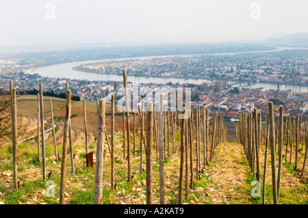 Die Eremitage Weinberge auf dem Hügel hinter der Stadt Tain-l ' Hermitage, am steil abfallenden Hügel, Stein terrassenförmig angelegt. Manchmal buchstabiert Ermitage. Ein Blick über das Rhonetal und den Fluss und die Partnerstädte Tain Tournon. Tain l ' Hermitage, Drome, Drôme, Frankreich, Europa Stockfoto