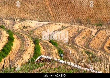 Die Grafik geschwungenen Terrassen in der Chapelle Weinberg. Die Eremitage Weinberge auf dem Hügel hinter der Stadt Tain-l ' Hermitage, am steil abfallenden Hügel, Stein terrassenförmig angelegt. Manchmal buchstabiert Ermitage. Tain l ' Hermitage, Drome, Drôme, Frankreich, Europa Stockfoto