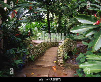 Karibik, Jamaika, Ocho Rios.  Shaw Park Gardens.  Tropischen Garten. Stockfoto