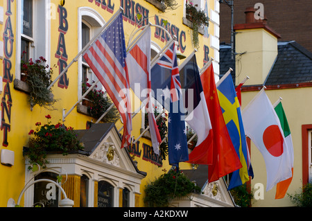 Internationale Fahnen Dublin Stockfoto