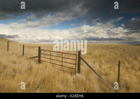 Fort MacLeod, Alberta, Kanada: Kopf zerschlagen, In Buffalo Jump Center: Zaun & Feld Stockfoto