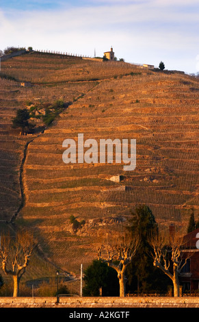 Blick über den Fluss Rhone, Tain. Die Kapelle auf dem Hügel. Die Eremitage Weinberge auf dem Hügel hinter der Stadt Tain-l ' Hermitage, am steil abfallenden Hügel, Stein terrassenförmig angelegt. Manchmal buchstabiert Ermitage. Tain l ' Hermitage, Drome, Drôme, Frankreich, Europa Stockfoto