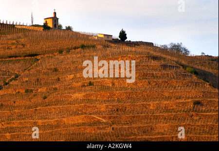 Blick über den Fluss Rhone, Tain. Die Kapelle auf dem Hügel. Die Eremitage Weinberge auf dem Hügel hinter der Stadt Tain-l ' Hermitage, am steil abfallenden Hügel, Stein terrassenförmig angelegt. Manchmal buchstabiert Ermitage. Tain l ' Hermitage, Drome, Drôme, Frankreich, Europa Stockfoto