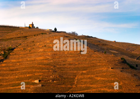 Blick über den Fluss Rhone, Tain. Die Kapelle auf dem Hügel. Die Eremitage Weinberge auf dem Hügel hinter der Stadt Tain-l ' Hermitage, am steil abfallenden Hügel, Stein terrassenförmig angelegt. Manchmal buchstabiert Ermitage. Tain l ' Hermitage, Drome, Drôme, Frankreich, Europa Stockfoto