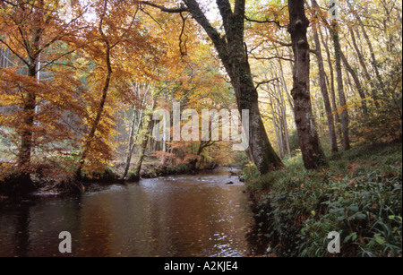 Fluß Teign unter Castle Drogo Devon Stockfoto