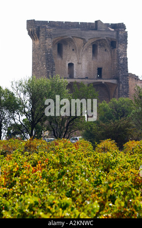 Ein Blick auf das zerstörte Schloss, Sommerpalast des Papstes über die Weinberge. Châteauneuf-du-Pape Châteauneuf, Vaucluse, Provence, Stockfoto