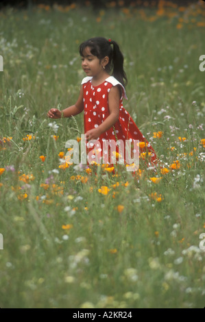 Hispanischen Kind spielt in einem Daisy-Feld in Napa Kalifornien Stockfoto