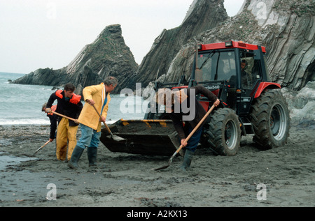 Arbeiter, die Reinigung schlecht geölt Strand nach dem Tankerunglück Bigbury am Meer Devon UK Stockfoto