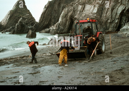 Arbeiter, die Reinigung schlecht geölt Strand nach dem Tankerunglück Bigbury am Meer Devon UK Stockfoto