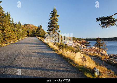 Park Loop Road entlang der Felsenküste Franzose Bay Mount Desert Island Acadia National Park Hancock Grafschaft Maine USA Stockfoto
