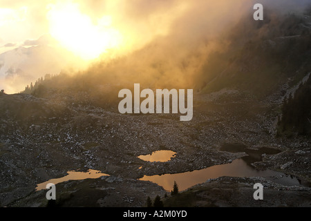 Blick auf Sonnenuntergang über subalpinen Seen unter gelbe Aster Butte North Cascades Whatcom County Washington USA Stockfoto