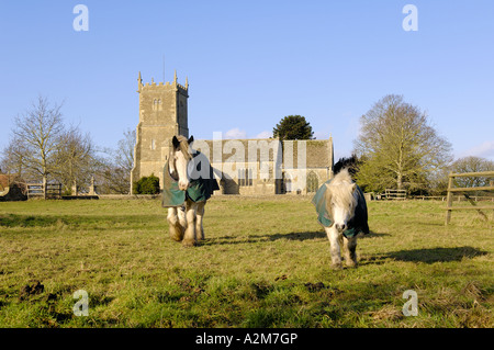 Maiskolben und Pony vor Kirche Stockfoto