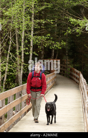 Frau mit schwarzer Hund und Baby im Rucksack am Rücken große vier Ice Caves Trail Snohomish County Cascade Mountains Washington Wandern Stockfoto