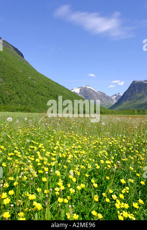 Valldalen Norwegen Stockfoto