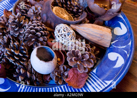 Tannenzapfen und andere Potpourri auf einem blauen China-Teller Stockfoto