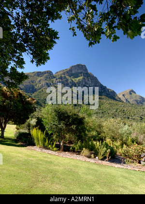 Ein Blick auf die Rückseite des Tafelberges von Kirstenbosch Botanical Gardens in Kapstadt. Stockfoto